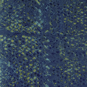 NATURAL MOOD-VP 916 12