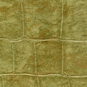 ANGUILLE BIG CROCO LEGEND-VP 426 06