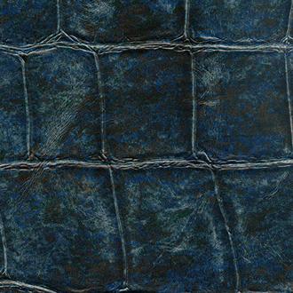 VP_426_10