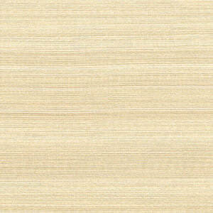 Whisper -1050-WH