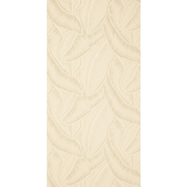 tropical-leaf-detail-downwards