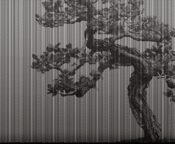 20016-01 (1)