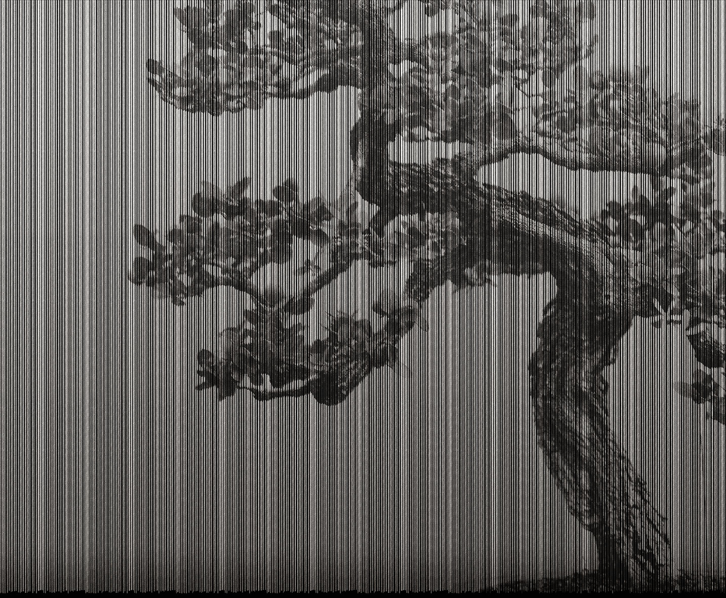 20016-01 (1)