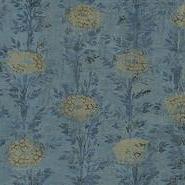 FRENCH MARIGOLD- AF6520