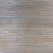 SISAL- CO2090
