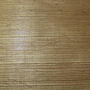 SISAL- CO2095