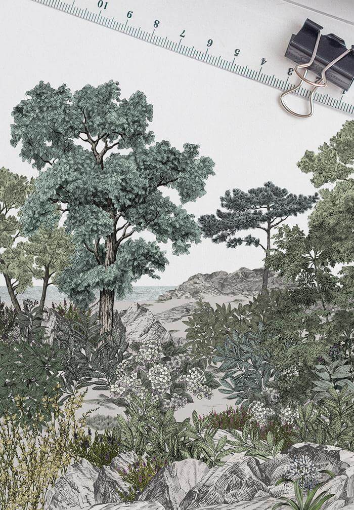 MOCKUP_-_foret_de_bretagne_naturel_700x