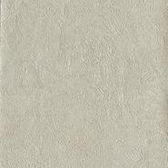 GLAZING- RRD7216N