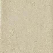 GLAZING- RRD7217N