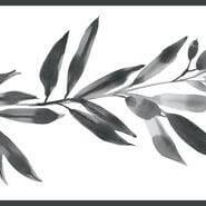 OLIVE BRANCH BORDER- FH4100BD
