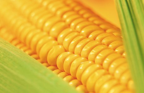 Подушка HEFEL Pure Maize 50 x 70 см