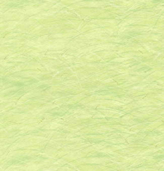 York VV5889